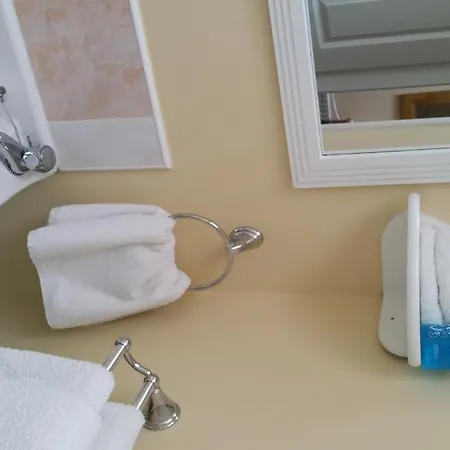 Отель Bridge View