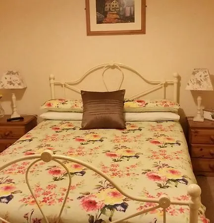 Bridge View Hotell Kilkenny